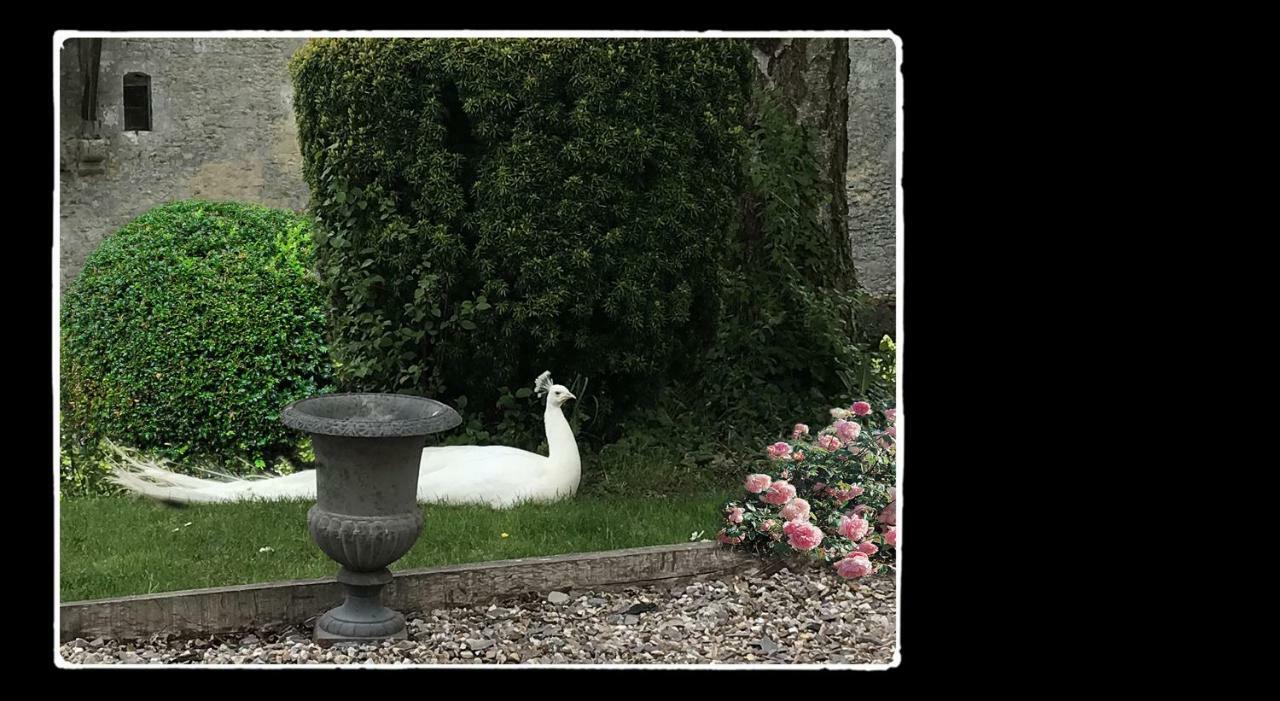 Bed and Breakfast Manoir De Livet Saint-Germain-de-Livet Экстерьер фото